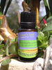 Eucalyptus Pure Essential Oil
