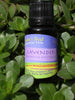 Lavender Essential Oil 17ml